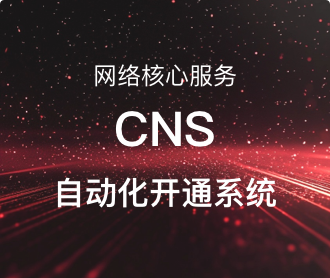 網絡核心服務CNS自動化開通系統